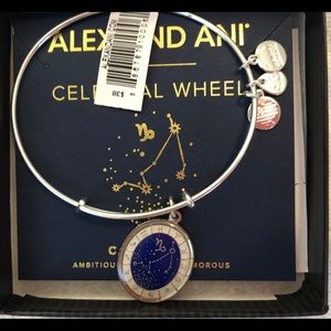 Alex and Ani Celestial Bracelet /Capricorn Silver